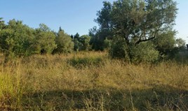 Land 4250 m² in Kassandra, Chalkidiki