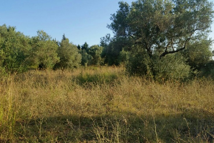 Realty photo 1