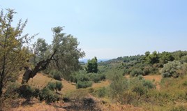 Zemljište 4100 m² na Sitoniji (Halkidiki)