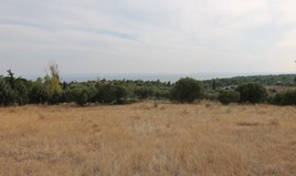 Land 6500 m² auf Sithonia (Chalkidiki)