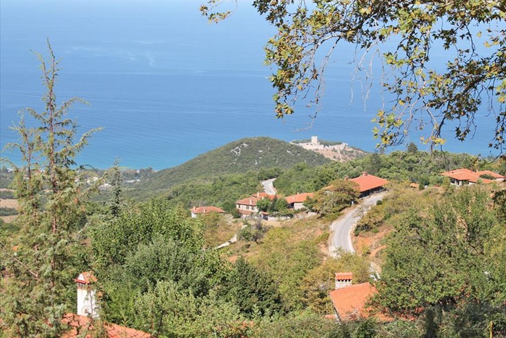 Realty photo 2