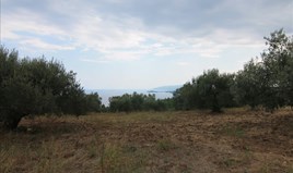 Land 4600 m² auf Sithonia (Chalkidiki)