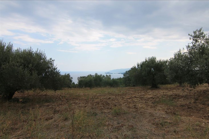 Realty photo 1