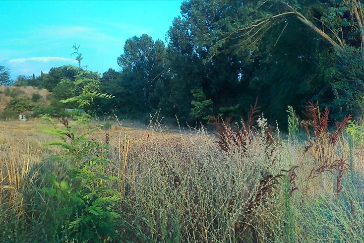 Realty photo 1