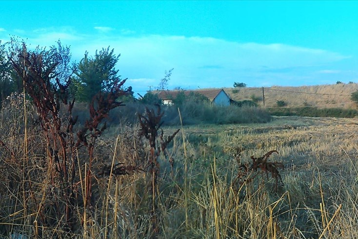 Realty photo 2