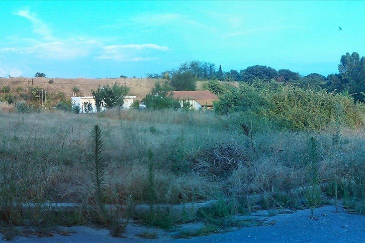Realty photo 3