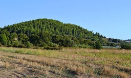 Γη 4000 μ² στην Κασσάνδρα
