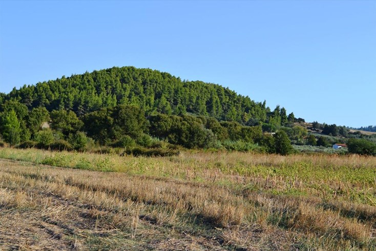 Realty photo 1