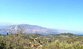 Парцел 4000 m² на Крит
