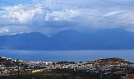 Land 9800 m² auf Kreta