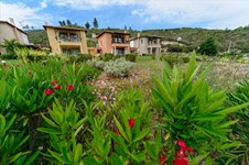 Property 19777 photo 23