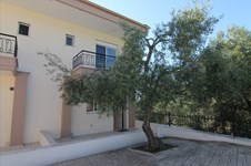 Property 19786 photo 1