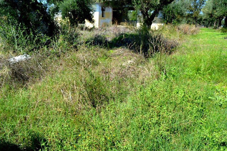 Realty photo 2