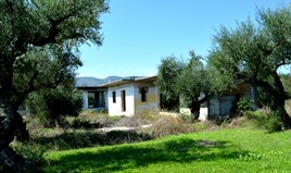 Land 2000 m² auf Zakynthos