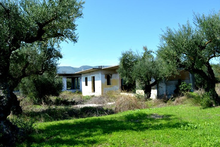 Realty photo 1