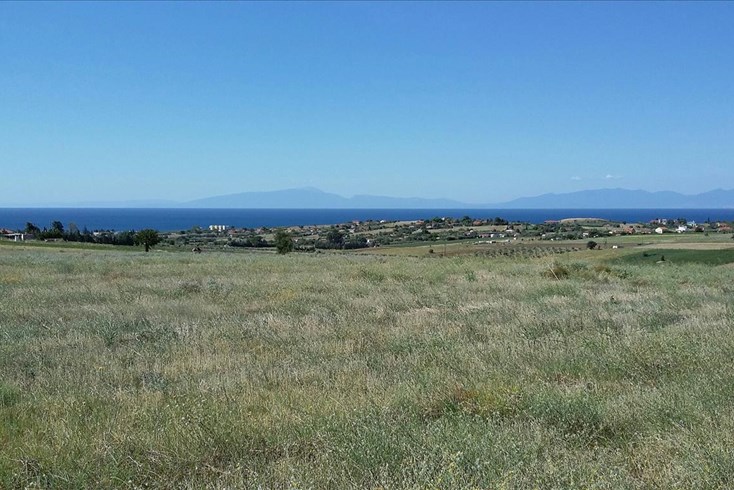 Realty photo 1
