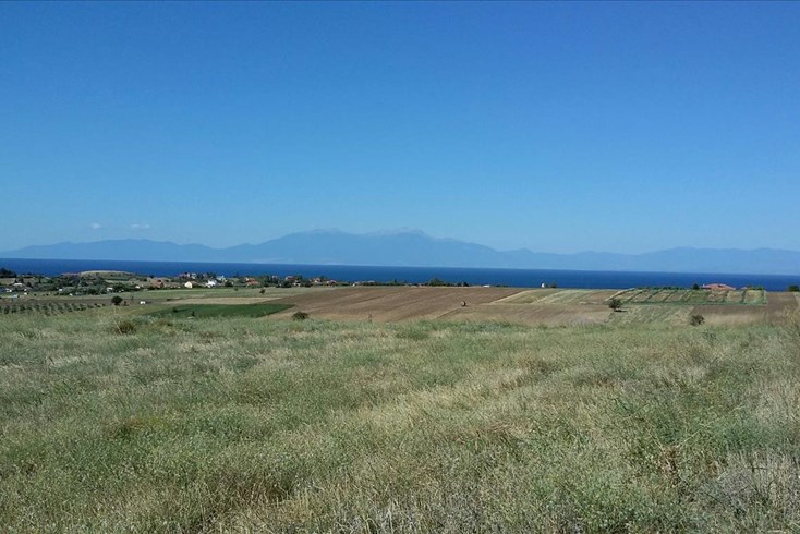 Realty photo 3