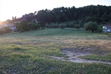 Property 1986 photo 1