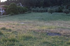 Property 1986 photo 3