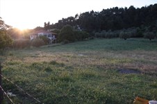 Property 1986 photo 4