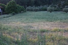 Property 1986 photo 6