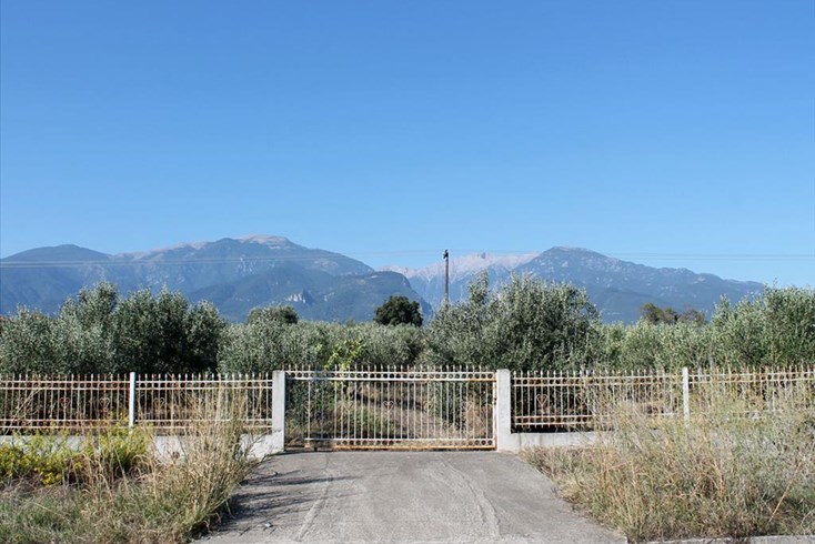 Realty photo 1