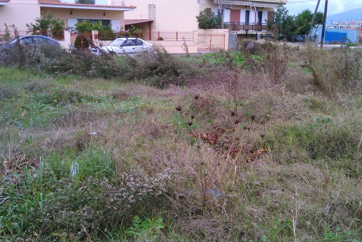 Realty photo 2