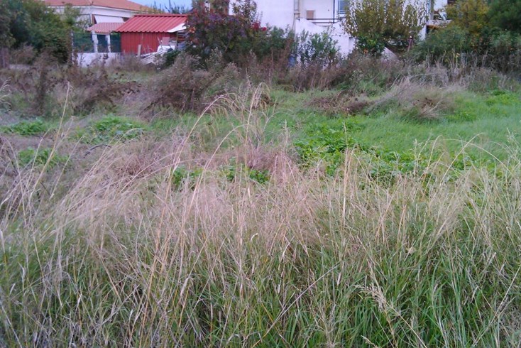 Realty photo 1