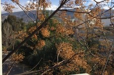 Property 20066 photo 22