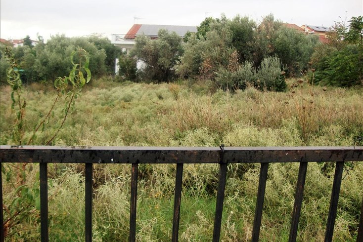 Realty photo 2