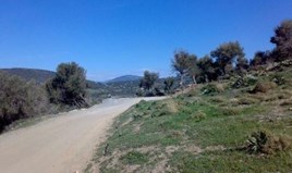 სასტუმრო 116000 m² ევბეა