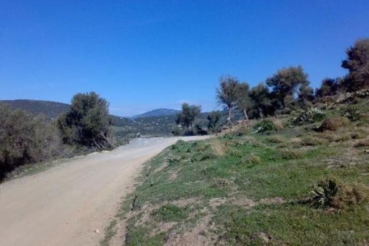 Realty photo 1