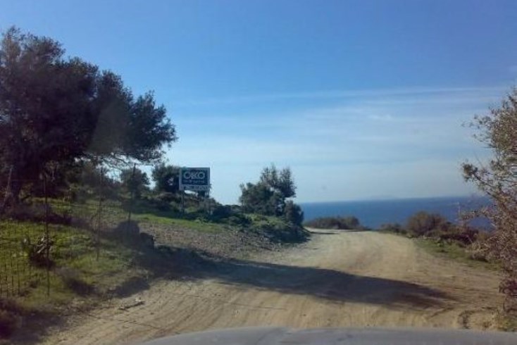 Realty photo 2