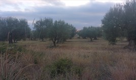 Zemljište 600 m² na Sitoniji (Halkidiki)