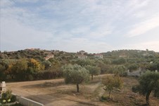 Property 20265 photo 20