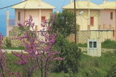 Property 20267 photo 4