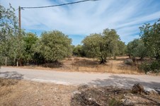 Land 776 m² on the island of Thassos