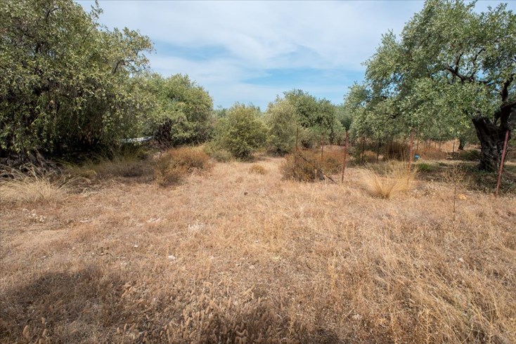 Realty photo 3