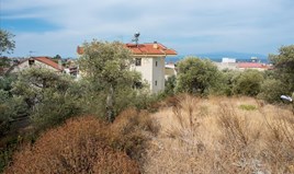 Land 1086 m² on the island of Thassos
