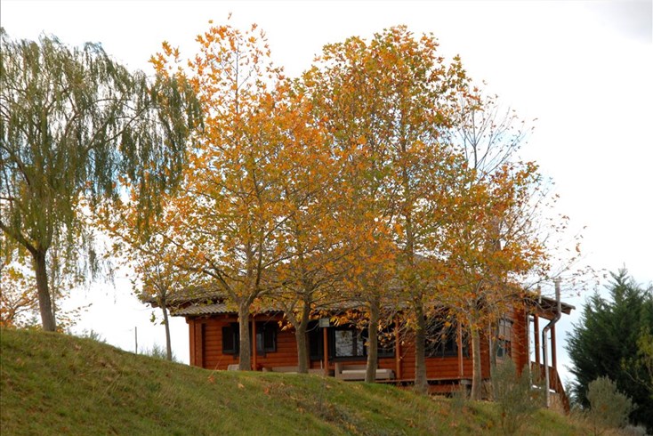 Realty photo 3
