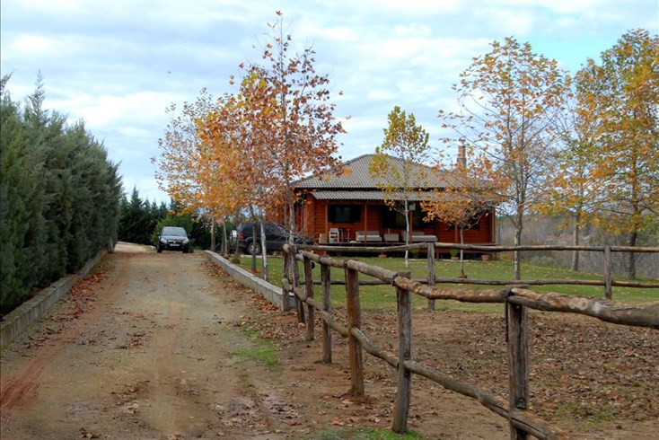 Realty photo 1
