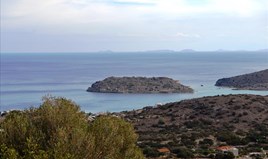 Land 13200 m² auf Kreta