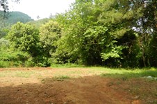 Property 2036 photo 1