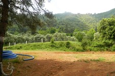 Property 2036 photo 2