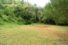 Property 2036 photo 3