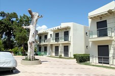 Property 204 photo 2