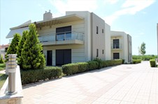 Property 204 photo 11