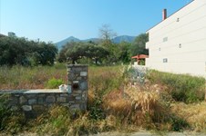 Property 2042 photo 2