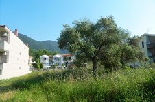 Property 2042 photo 4