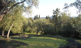 სასტუმრო 8253 m² კორფუზე